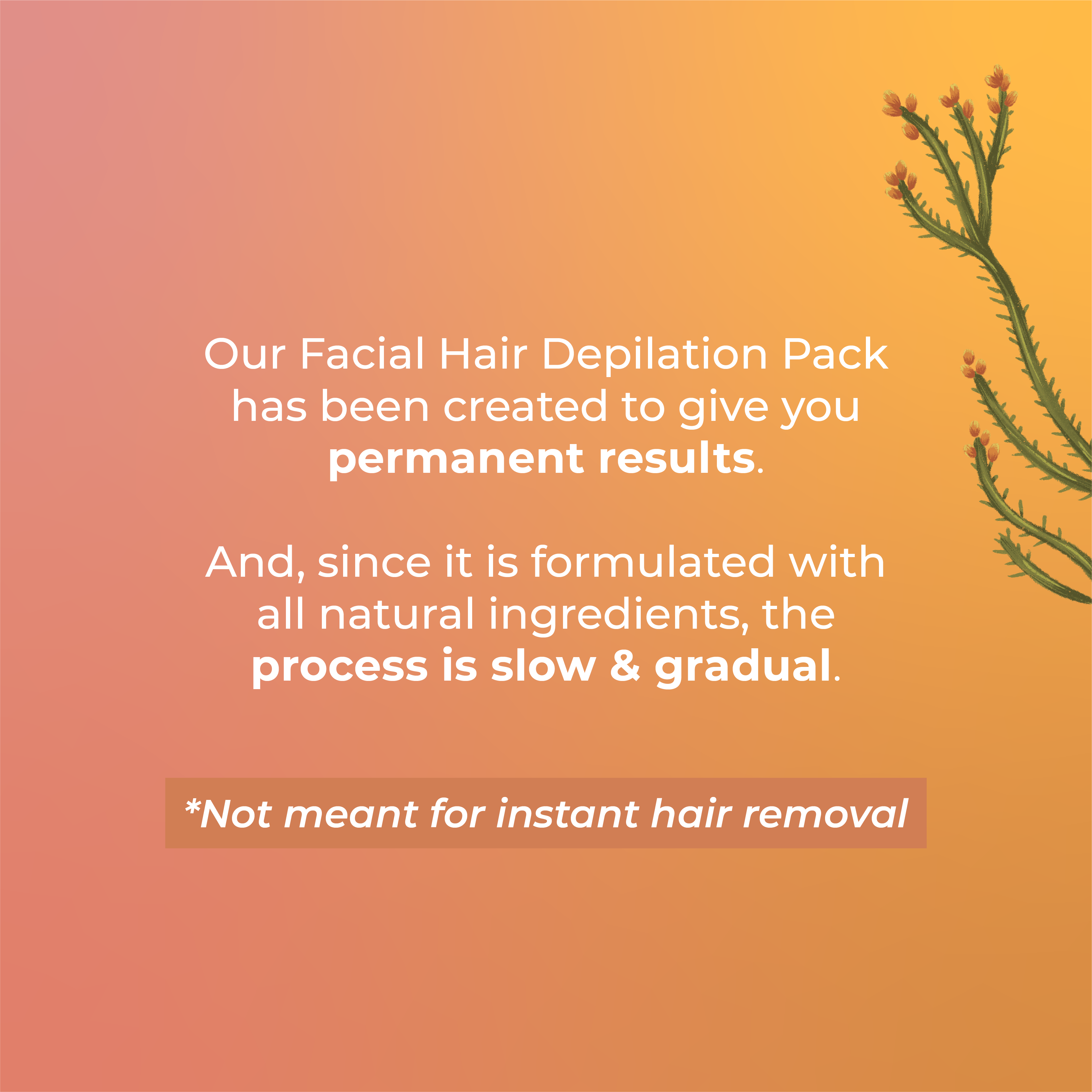 Permanent Facial Hair Removal Pack