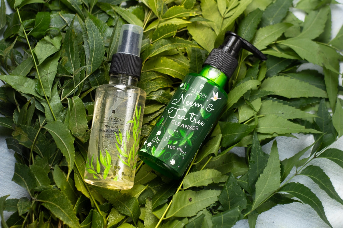 Tea Tree Collection